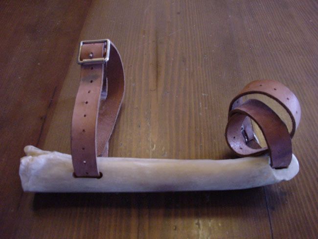 تاریخچه اولین اسکیت در جهان